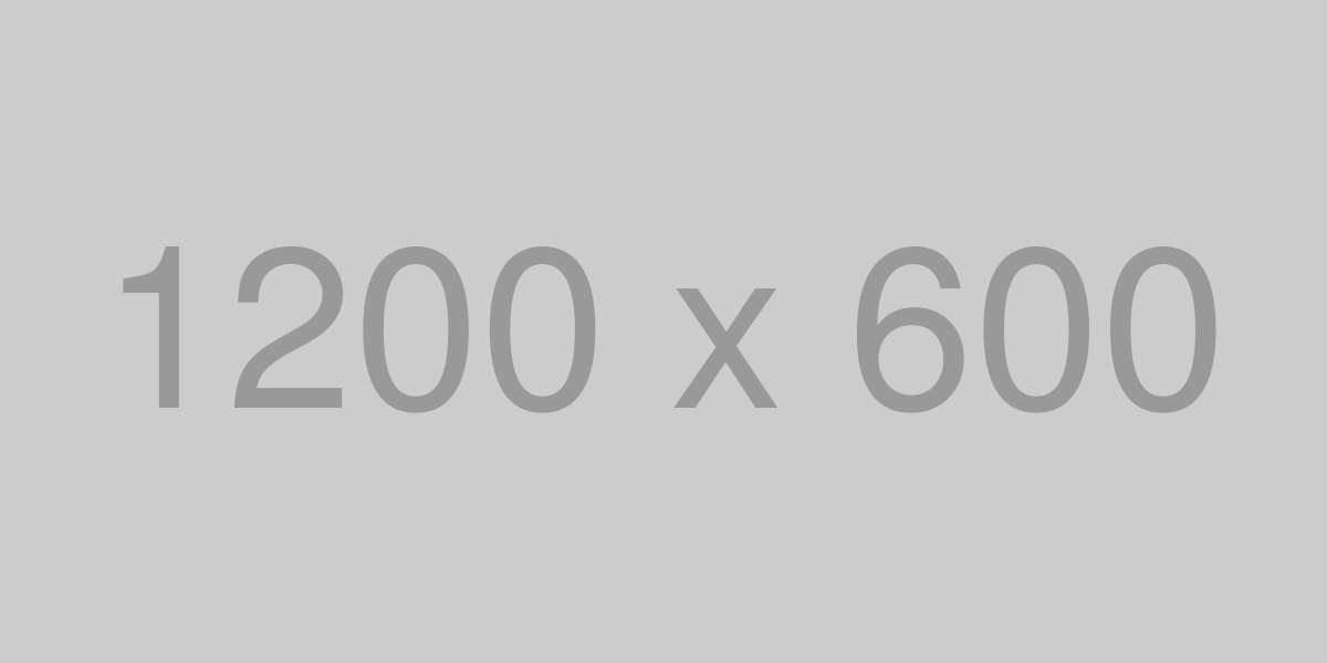 A importância da interação entre cães e idosos A importância da interação entre cães e idosos