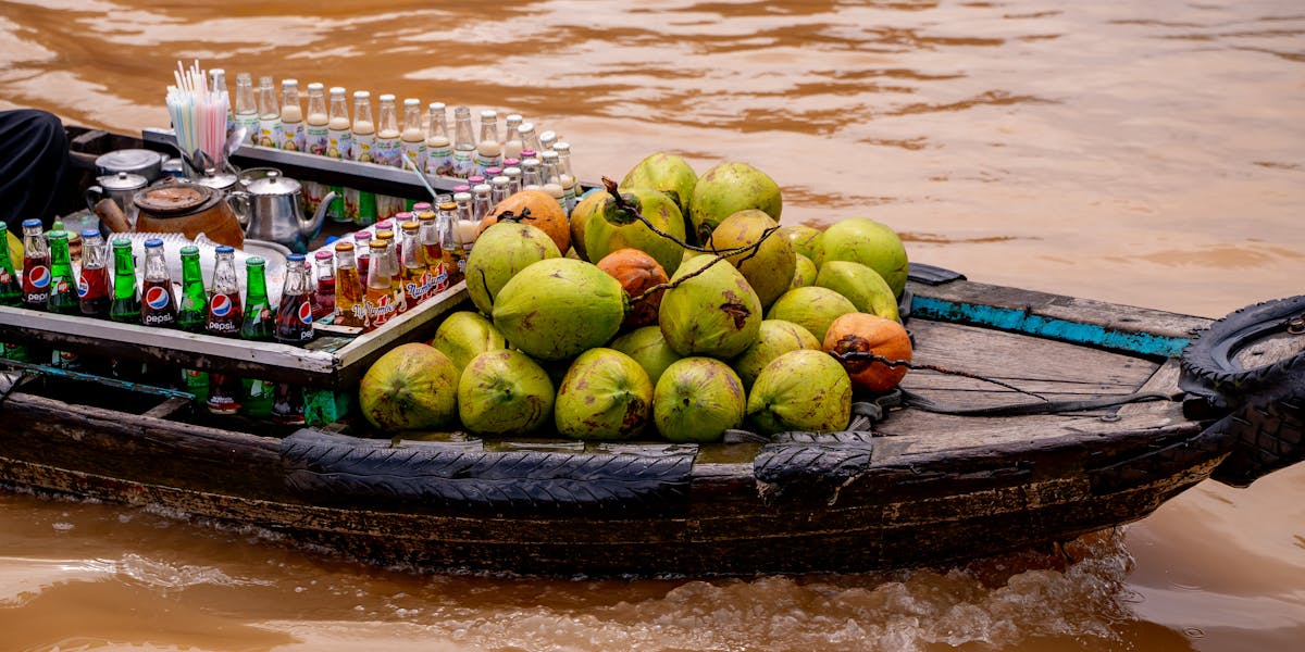 Treinamento de cães para receber encomendas com calma