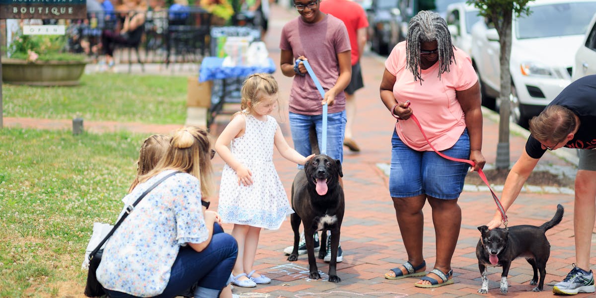 Treinamento para cães em ambientes com muita gente