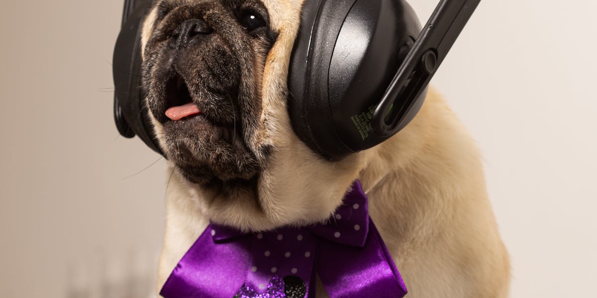 Como ensinar comandos com cliques e sons específicos