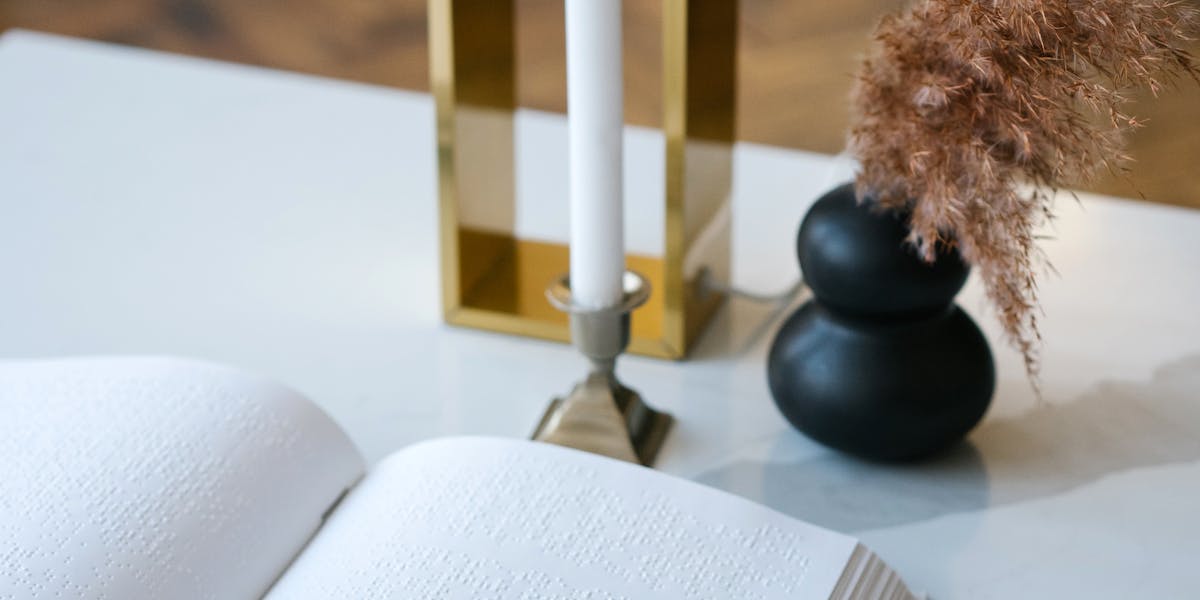 Adestramento para cães com problemas neurológicos