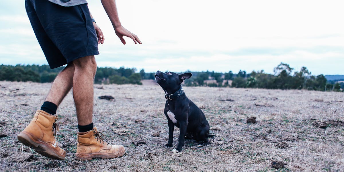Como organizar sessões curtas e eficazes de treino