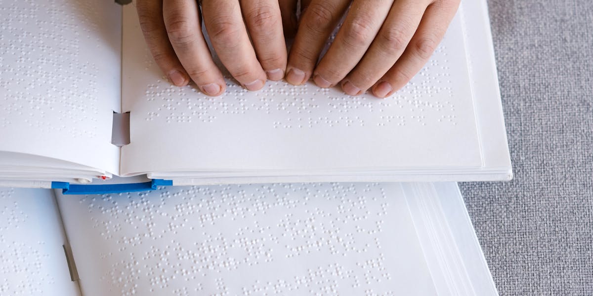 Como lidar com cães que reagem mal ao toque