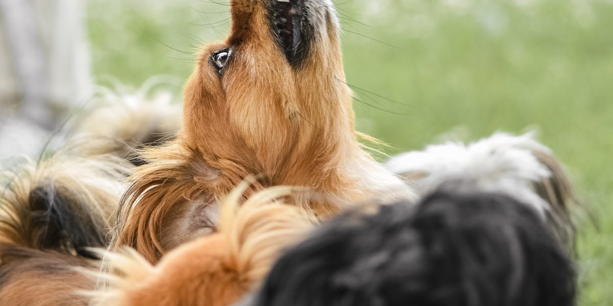 Dicas para usar petiscos saudáveis no treino