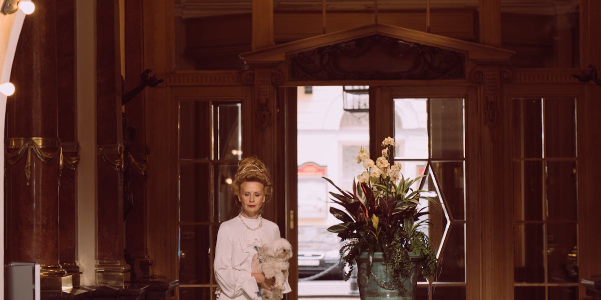 Como lidar com cães que não gostam de visitas