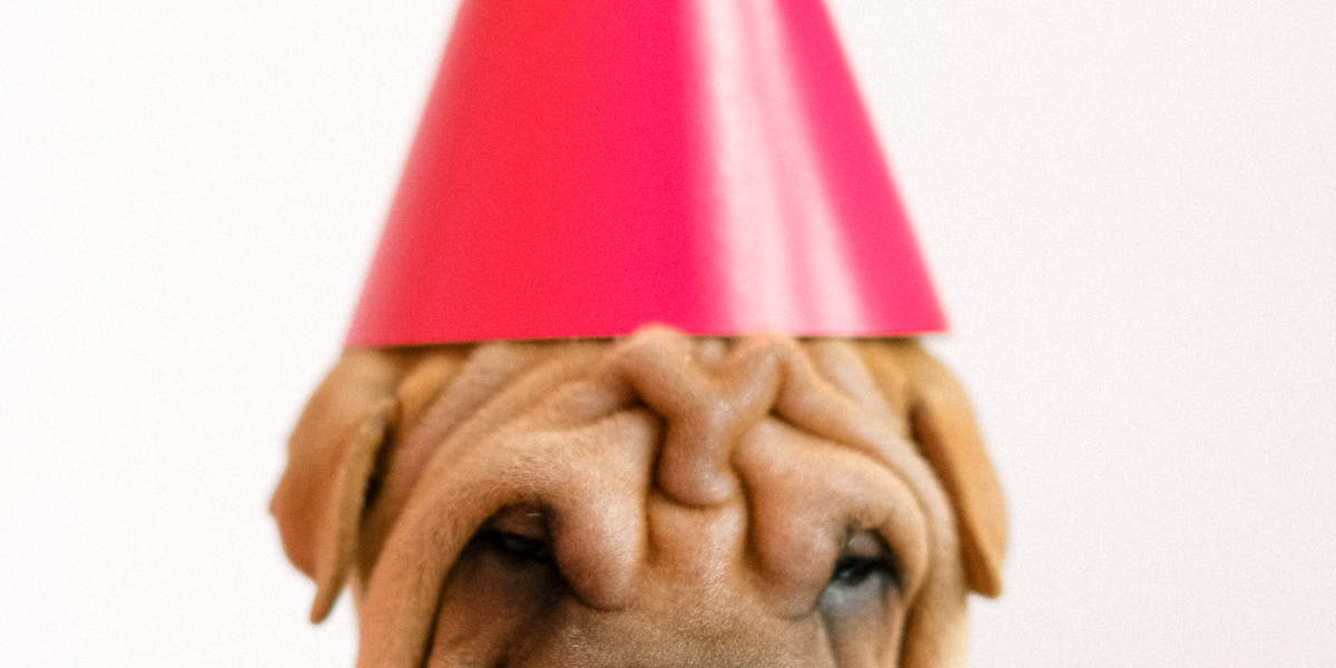 Truques para ensinar em festas ou eventos