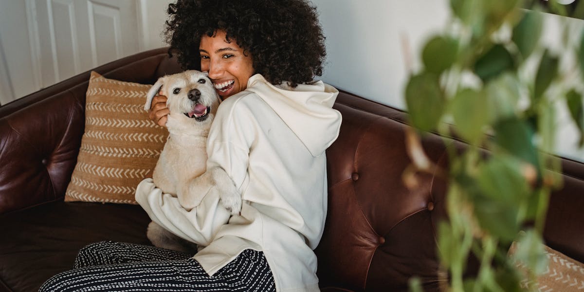Como ensinar o cachorro a não subir no sofá